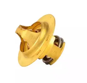 Термостат, охлаждающая жидкость BSG купить